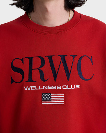 Sporty & Rich Nautical Embroidered Crewneck - Ruby/Navy